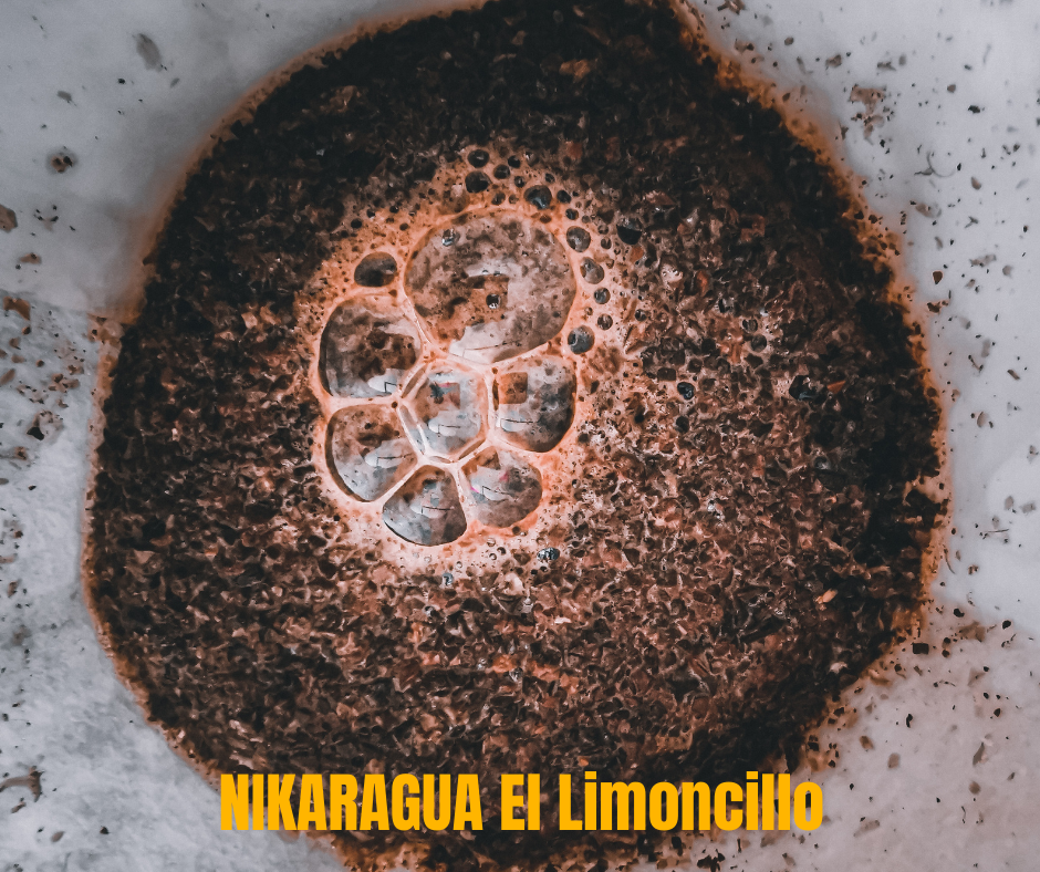 kawa speciality z nikragui