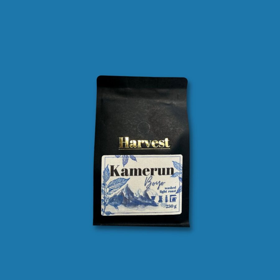 kawa z kamerunu harvest gliwicka palarnia kawy