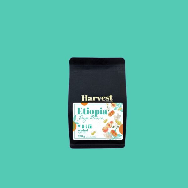daye bensa etopia harvest